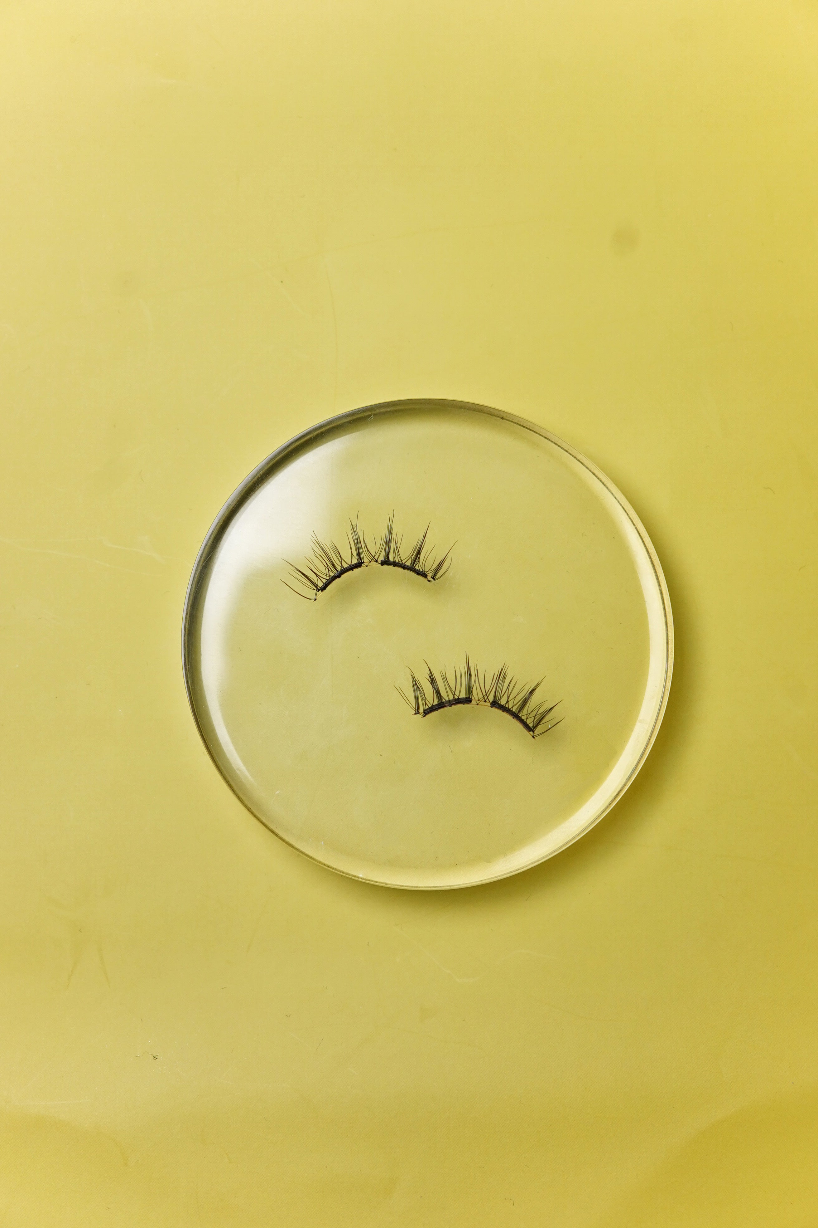Boardroom magnetic eyelashes