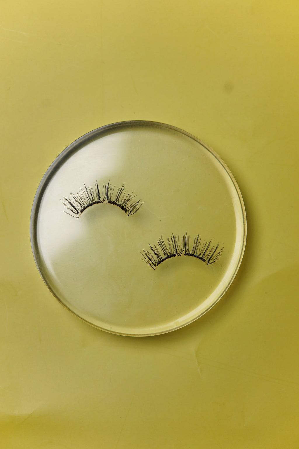 Kickoff magnetic eyelashes