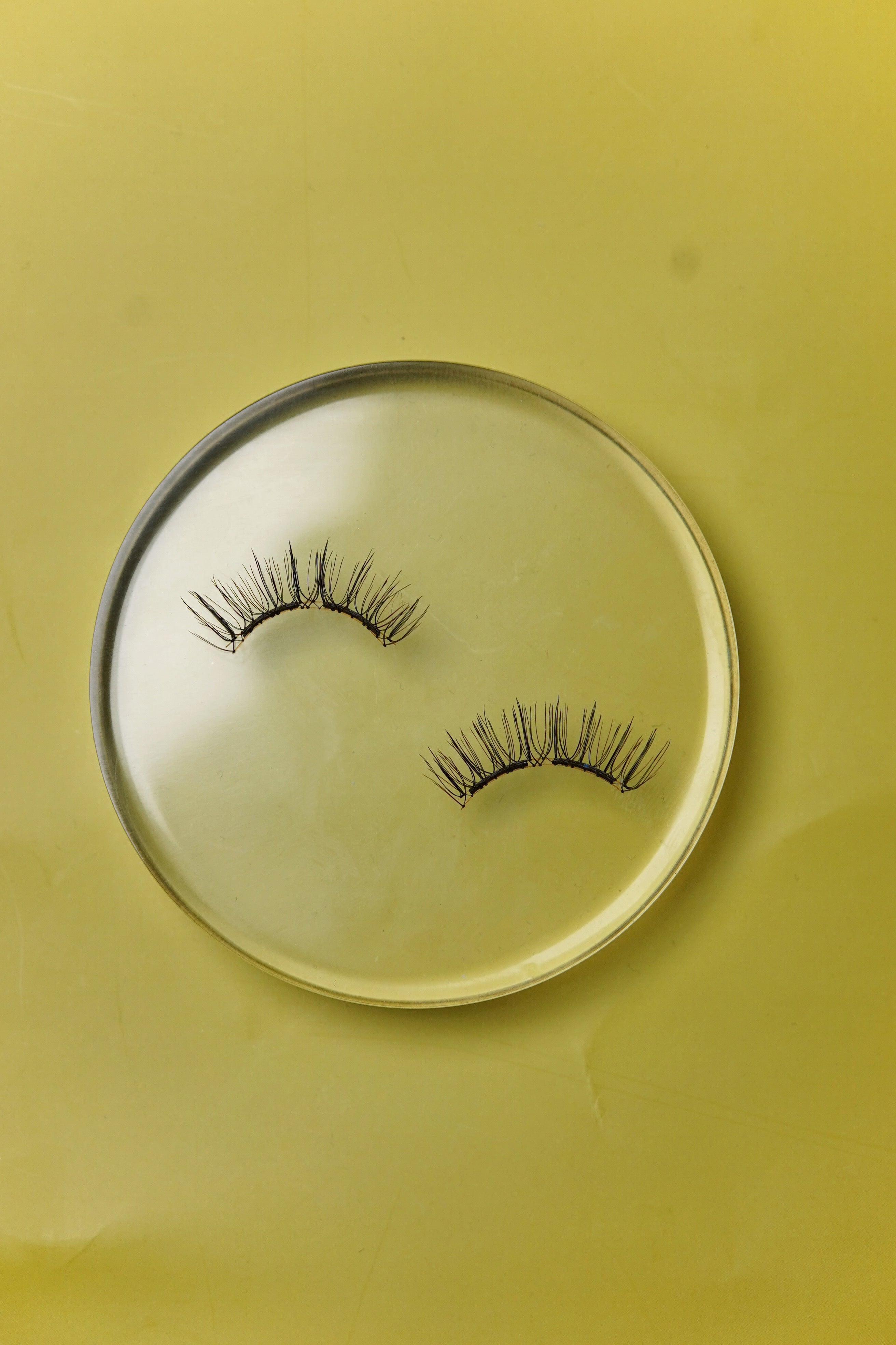 Kickoff magnetic eyelashes