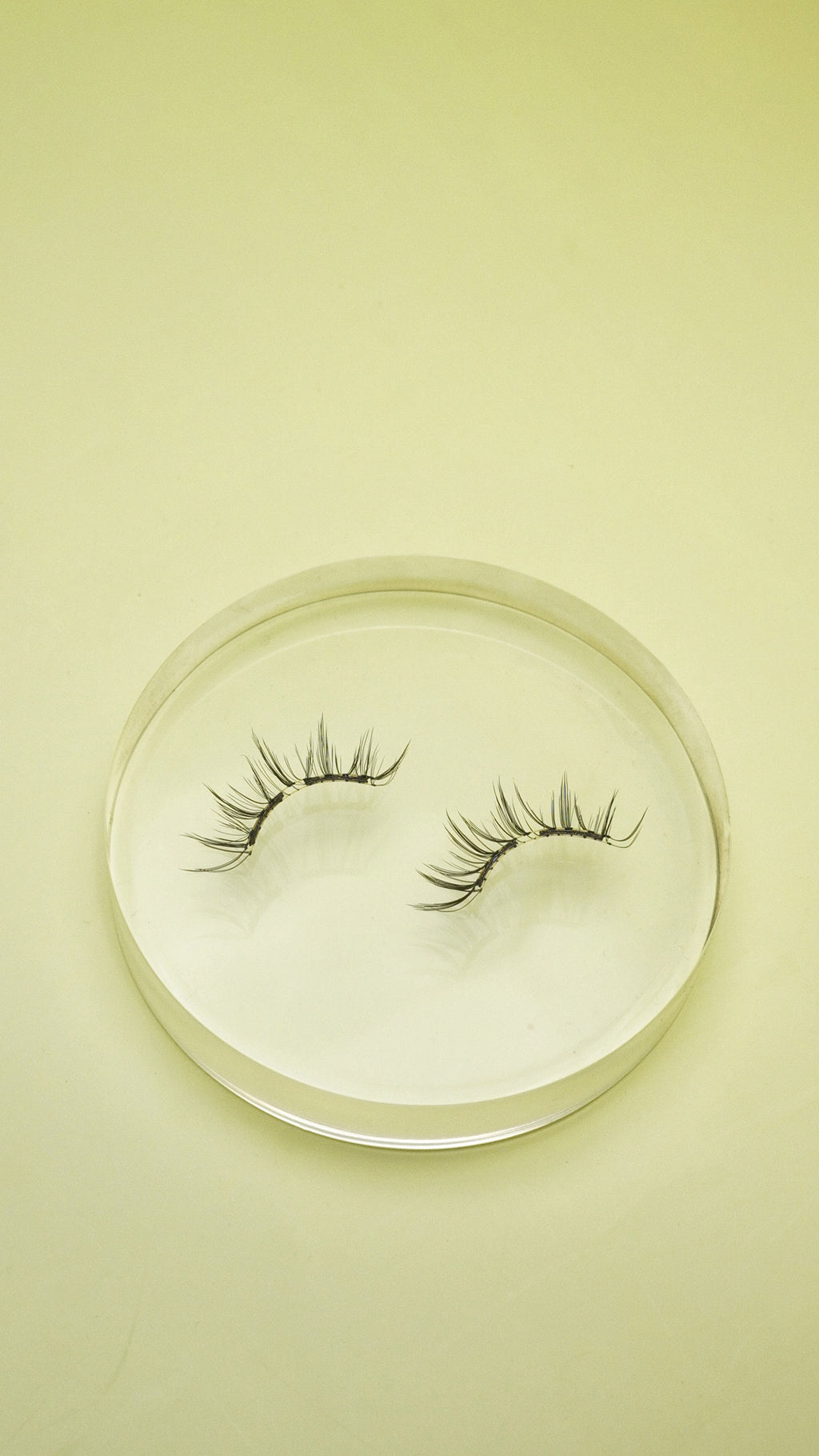 Memo magnetic eyelashes