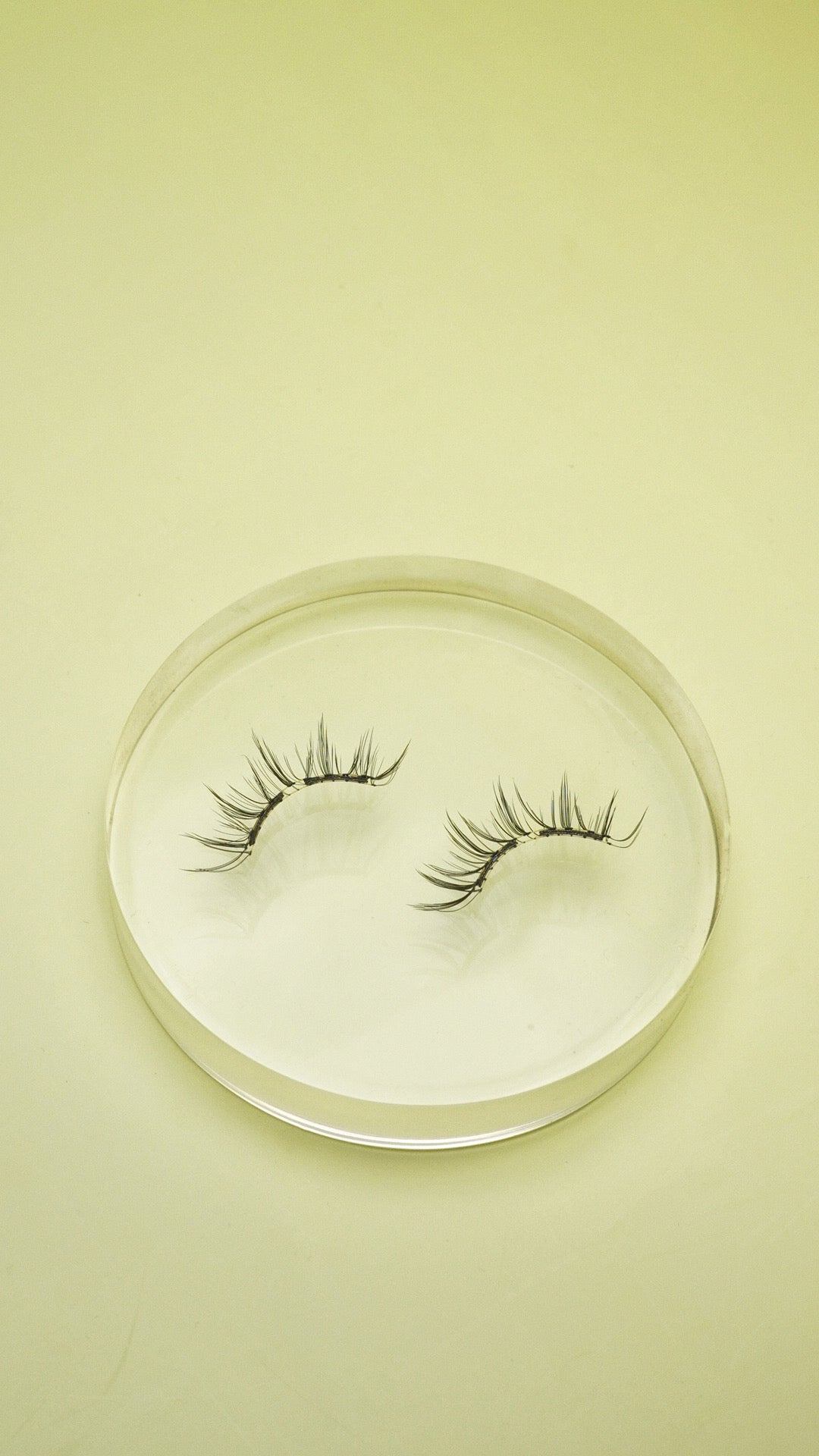 Memo magnetic eyelashes