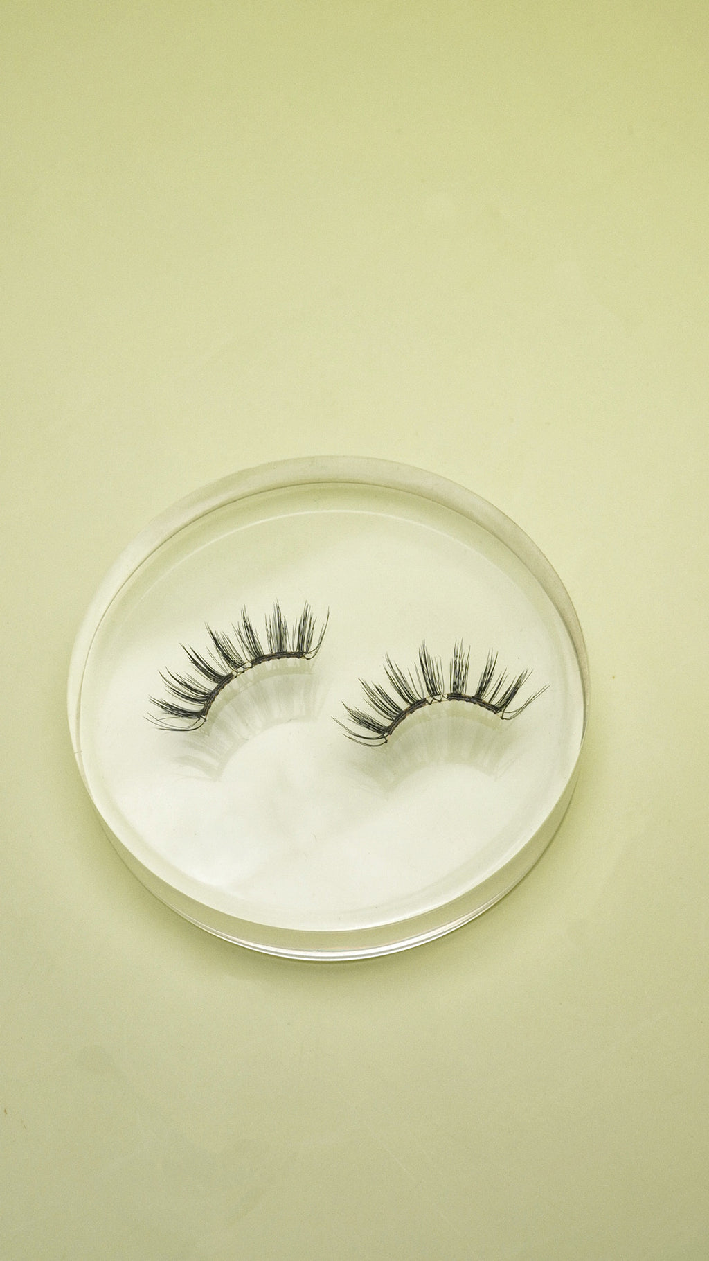 VIP Access magnetic eyelashes
